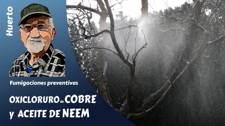 Novedoso m&eacute;todo para cuidar tus plantas: mezcla jab&oacute;n pot&aacute;sico y cobre